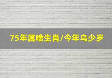 75年属啥生肖\今年乌少岁